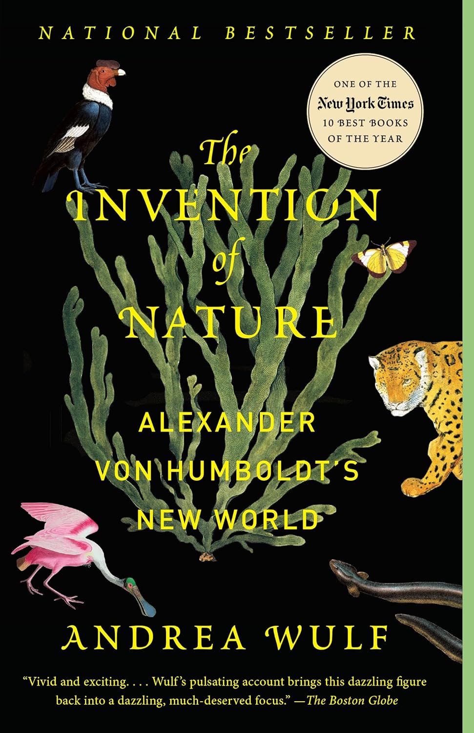 The Invention Of Nature cover